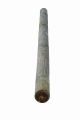 DSC08697 ok - Palisada sosnowa.jpg